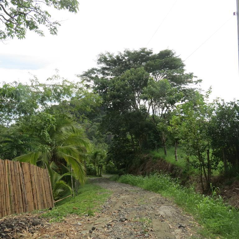 Apartamento Karibu Manuel Antonio Chambre photo
